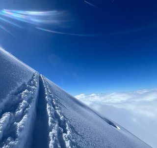 OASEAlpincenterGipfelhangCevedale