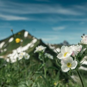 E5 von Oberstdorf nach Meran über die Memminger Hütte | OASE Alpin Bergschule Oberstdorf