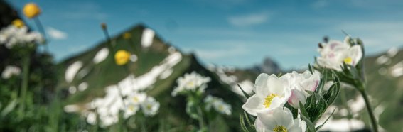 E5 von Oberstdorf nach Meran über die Memminger Hütte | OASE Alpin Bergschule Oberstdorf
