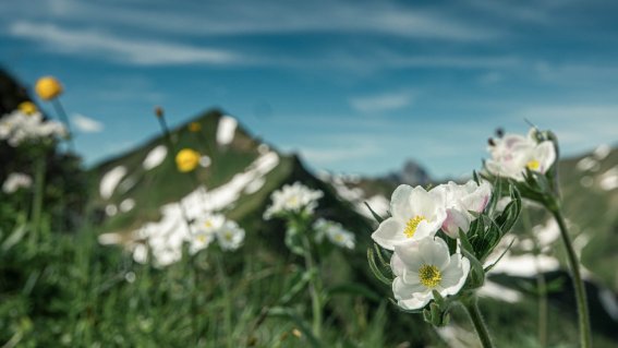 E5 von Oberstdorf nach Meran über die Memminger Hütte | OASE Alpin Bergschule Oberstdorf