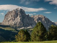 Leichte Wanderungen in den Alpen © Reiner Taglinger | OASE alpin