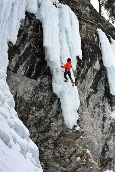 Bild Mixed Alex Harder