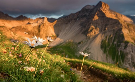 OASE alpin Bergschule Oberstdorf