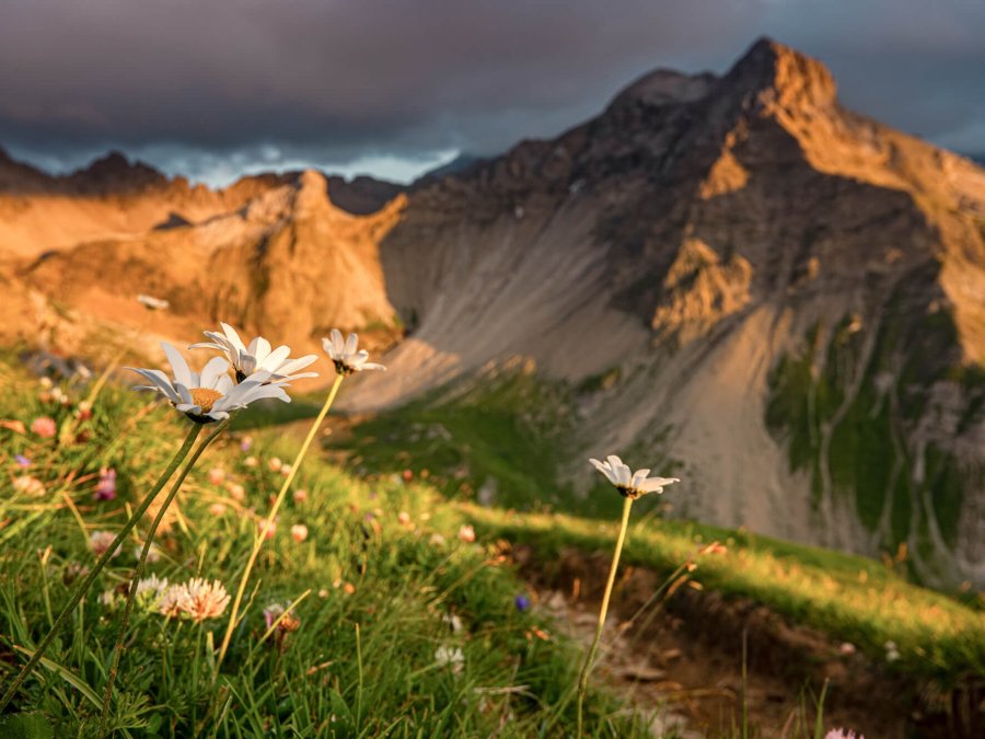 OASE alpin Bergschule Oberstdorf
