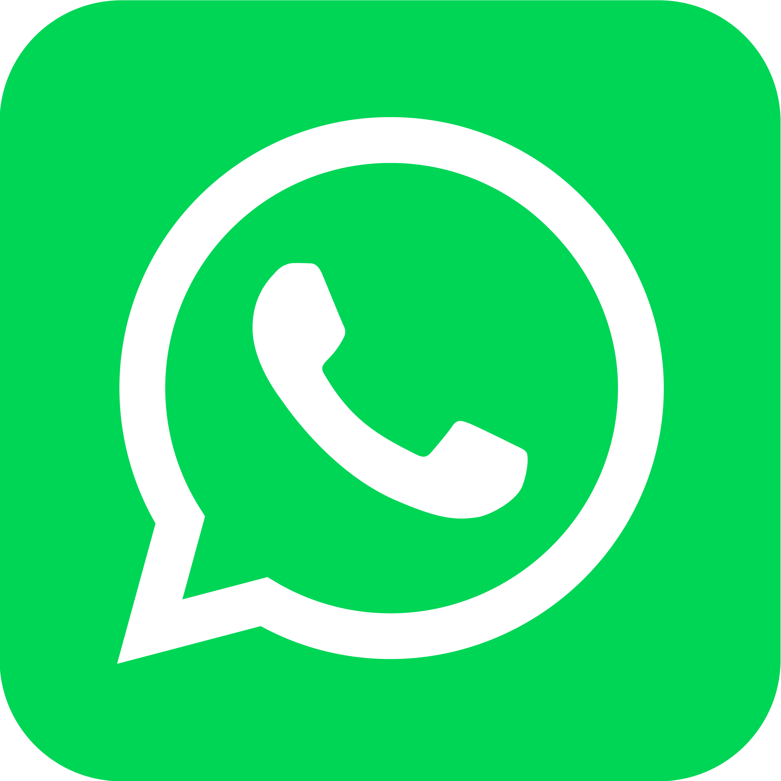 Icon Whats App | OASE alpin