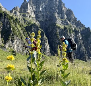 Bergwandern vom Appenzell zum Zürichsee | © Hans Staub, OASE alpin GmbH