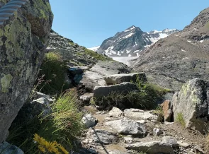 Alpenüberquerung E5 von Oberstdorf nach Meran „Variante Kaiserjoch“ | OASE alpin