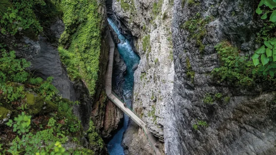 Am Grat entlang – die Hörnertour im Sommer | OASE alpin