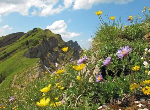 Bergwanderwoche im Naturpark Nagelfluhkette ab Balderschwang, Allgäu | OASE alpin
