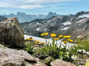 Bergwandern Silvretta rund um den Piz Buin | OASE alpin