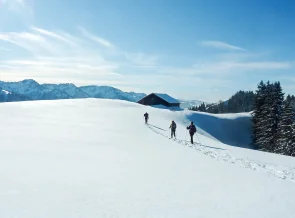 Mehrtages-Schneeschuhwanderung im Naturpark Nagelfluhkette | OASE alpin