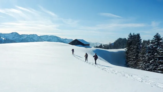 Mehrtages-Schneeschuhwanderung im Naturpark Nagelfluhkette | OASE alpin