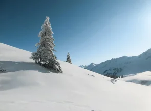 Schneeschuhtour aufs Riedberger Horn, ab Riedbergpass | OASE alpin