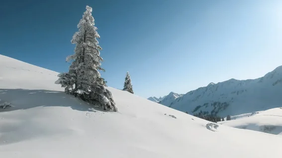 Schneeschuhtour aufs Riedberger Horn, ab Riedbergpass | OASE alpin