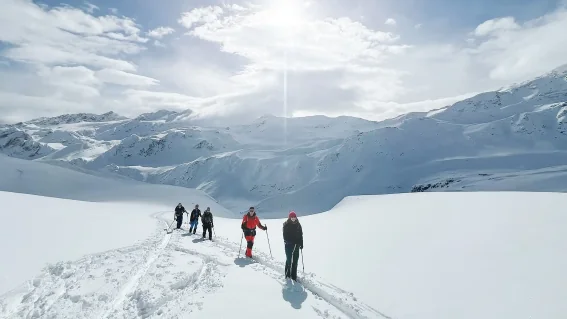 Skihochtourenwoche Zufallhütte - Cevedale | OASE alpin