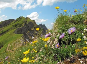 „Gratwanderung der Kontraste