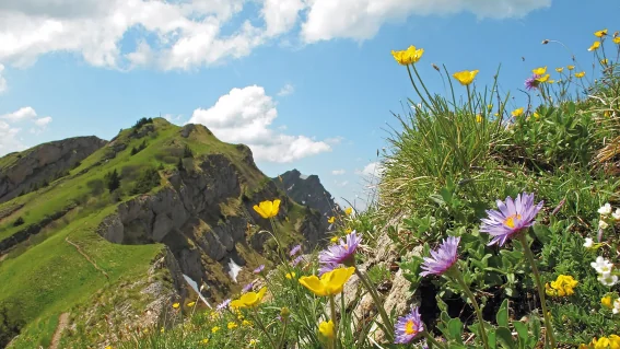 „Gratwanderung der Kontraste