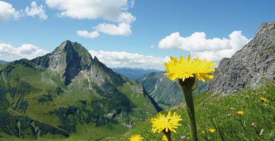 Allgäu-Durchquerung - Blick auf die Höfats