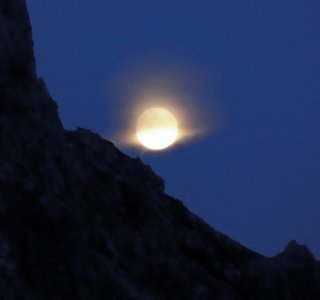 Rosengarten Vollmond