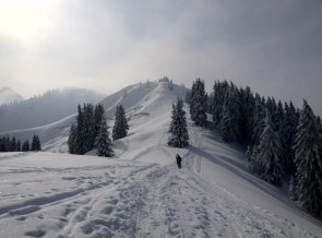Am Gipfelgrat der Sonnenköpfe