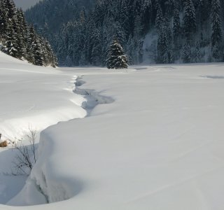 3. Tag - Herrlich - die Winterlandschaft im Gunzesrieder Tal