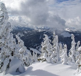 Winterlandschaft am Riedberger Horn | © OASE alpin GmbH