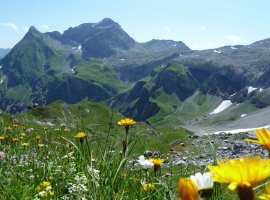 Braunarlfürggele mit Warther Horn und Karhorn | © OASE alpin GmbH