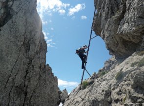 Die lange Leiter im Mittelteil des Hindelanger Klettersteiges