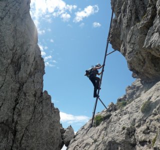 Die lange Leiter im Mittelteil des Hindelanger Klettersteiges
