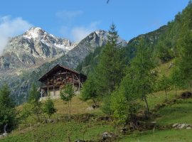 3. Tag - Vorbei an alten Gehöften steigen wir weiter hinauf zum Colle Valdobbia (2.480 m)