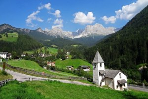 Tiers im Hintergrund der Rosengarten