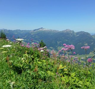 Panorama Kleinwalsertal vom Fellhorngrat | © OASE alpin GmbH