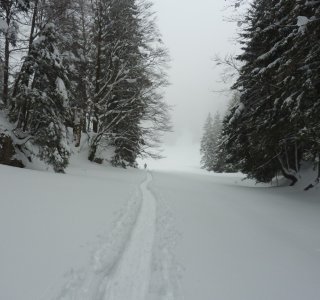 1. Tag - Der Weg zur Alpe Obere Kalle ist sehr abwechslungsreich