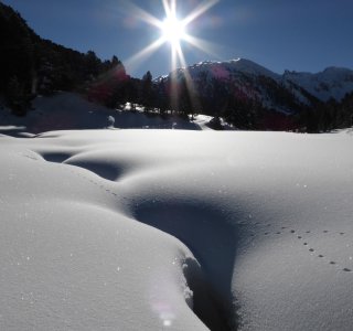 6. Tag - Traumhafte Winterstimmung am frühen Morgen vor dem Aufstieg zum S-charl Joch
