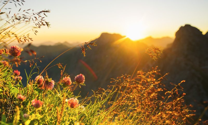 Sonnenaufgang am Nebelhorn