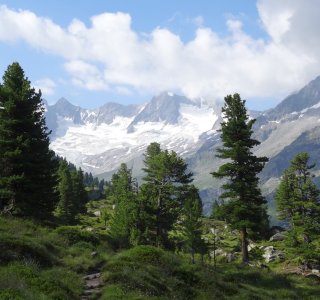 4. Tag - Blick auf die Gerlosspitze (rechts, 3.280 m)) und die Reichenspitze (links, 3.303 m)