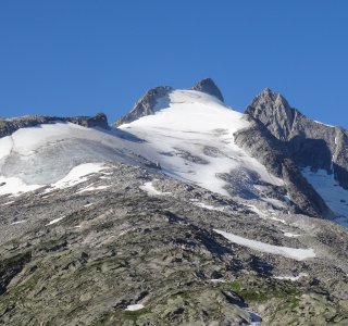 Wildgerloskees | © OASE alpin GmbH