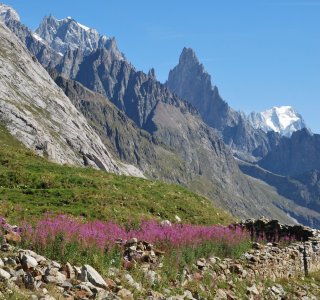 Tour du Mont Blanc 4. Tag - Grandioise Aussicht auf die Aiguille Noire de Peuterey im Hintergrund der Grand Jorasses
