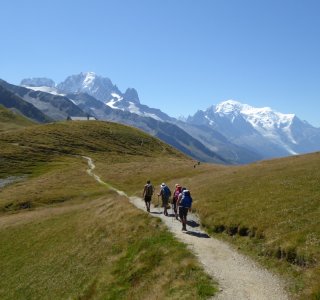 Tour du Mont Blanc 7. Tag - Aussichtsreicher Wanderweg zum Col de Balme