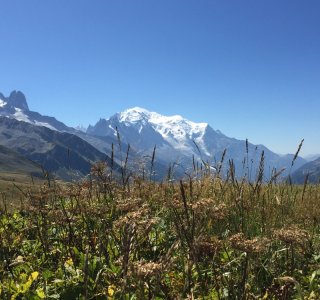 Tour du Mont Blanc 7. Tag - Blick vom Col de Balme auf den Mont Blanc