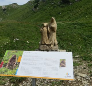 6. Tag - und auf dem Naturlehrpfad am Nebelhorn