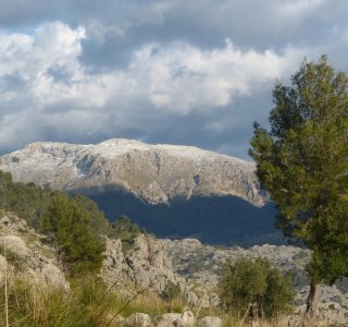 Blick vom Coll des Ases zum Puig Tomir
