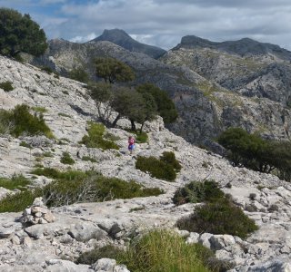 4. Tag - Im Aufstieg zum Puig de sa Rateta