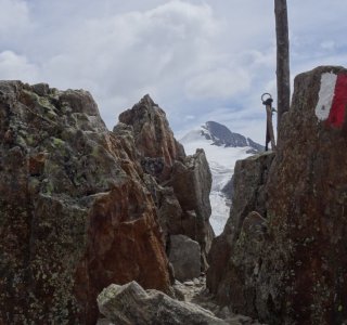 4. Tag - Der Similaun (3.606 m) im Blickpunkt