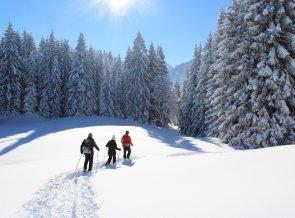 Noch laufen wir in Reih und Glied