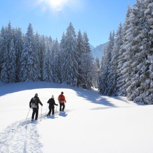 Noch laufen wir in Reih und Glied