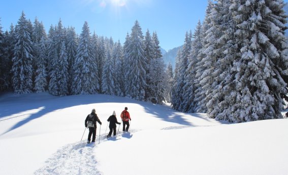 Noch laufen wir in Reih und Glied