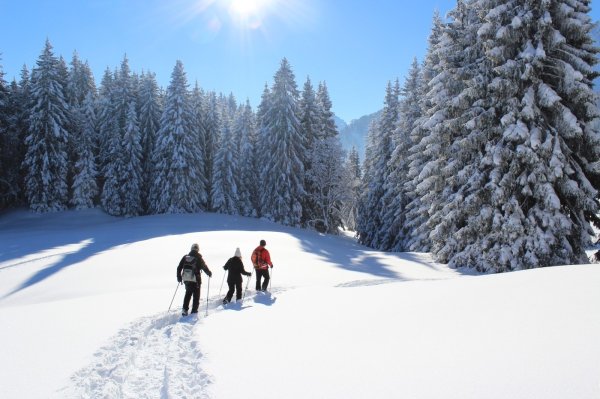 Noch laufen wir in Reih und Glied