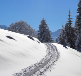 Nur Schnee - und unsere Spur