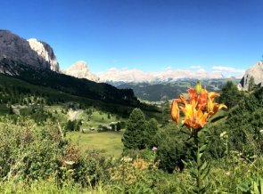 Dolomiten Höhenweg 2 - Blick aufs  Grödner Joch